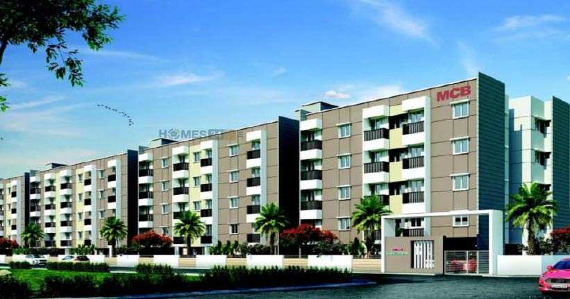 MCB Marvel Cover Image